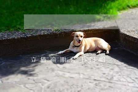 立借逾期会上门吗 立借逾期会上门吗