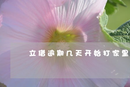 立借逾期几天开始打家里人电话 立借逾期几天开始打家里人电话
