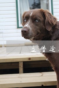 立借逾期没打电话 立借逾期没打电话