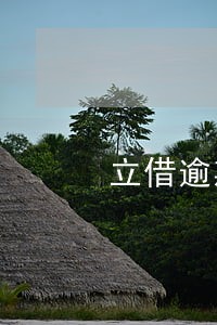 立借逾期给身边人发短信通告 立借逾期给身边人发短信通告