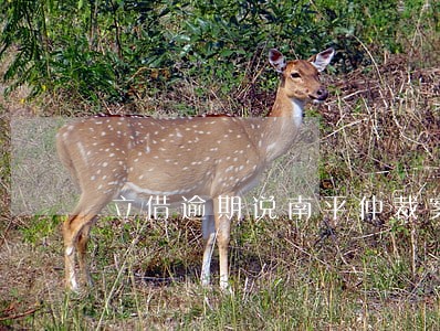 立借逾期说南平仲裁案件受理 立借逾期说南平仲裁案件受理