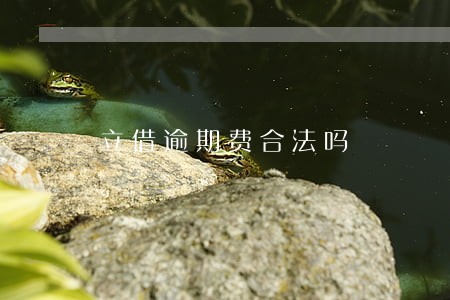 立借逾期费合法吗 立借逾期费合法吗
