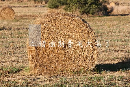 立借逾期费用太高了 立借逾期费用太高了