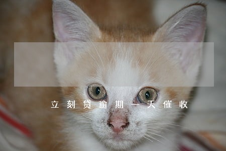 立刻贷逾期一天催收 立刻贷逾期一天催收