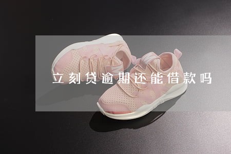立刻贷逾期还能借款吗 立刻贷逾期还能借款吗