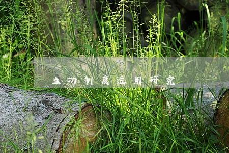 立功制度适用研究 立功制度适用研究