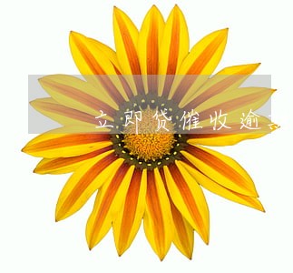 立即贷催收逾期一天都不行 立即贷催收逾期一天都不行