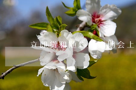 立即贷和随心借逾期会上门吗 立即贷和随心借逾期会上门吗