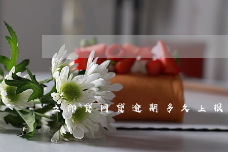 立即贷网贷逾期多久上报征信 立即贷网贷逾期多久上报征信