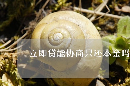 立即贷能协商只还本金吗 立即贷能协商只还本金吗