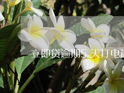 立即贷逾期5天打电话 立即贷逾期5天打电话