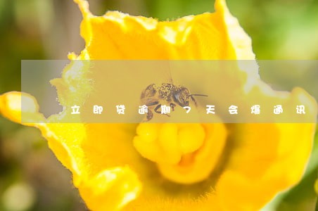 立即贷逾期7天会爆通讯录吗 立即贷逾期7天会爆通讯录吗