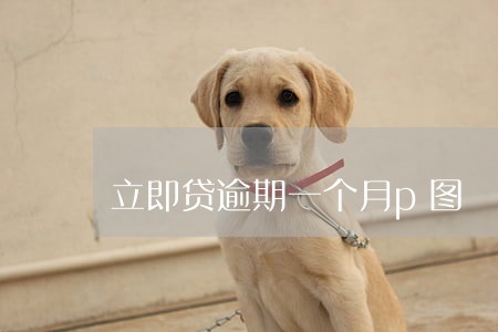 立即贷逾期一个月p图 立即贷逾期一个月p图