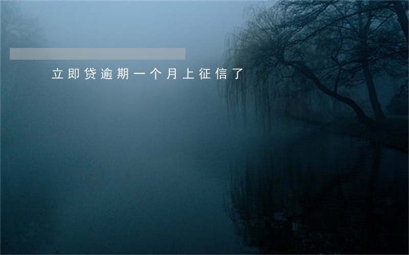 立即贷逾期一个月上征信了