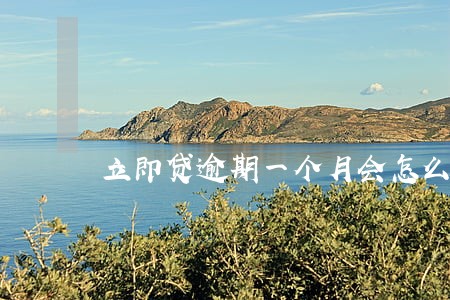 立即贷逾期一个月会怎么样 立即贷逾期一个月会怎么样