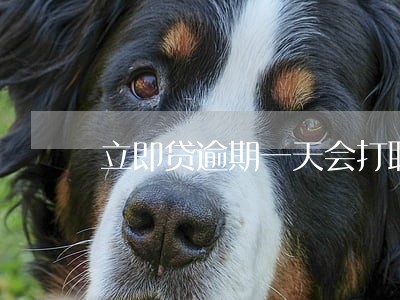 立即贷逾期一天会打联系人吗 立即贷逾期一天会打联系人吗