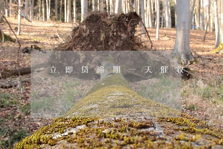 立即贷逾期一天催收 立即贷逾期一天催收