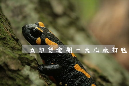 立即贷逾期一天几点打电话 立即贷逾期一天几点打电话