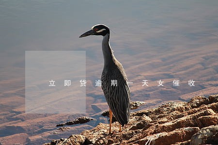立即贷逾期一天女催收 立即贷逾期一天女催收