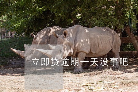 立即贷逾期一天没事吧 立即贷逾期一天没事吧
