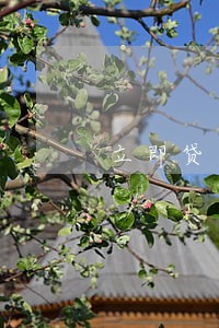 立即贷逾期一天还款费用是多少 立即贷逾期一天还款费用是多少