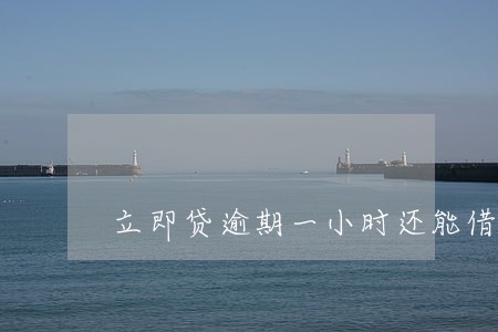 立即贷逾期一小时还能借吗 立即贷逾期一小时还能借吗