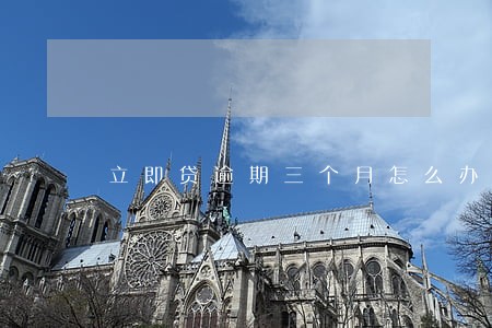 立即贷逾期三个月怎么办 立即贷逾期三个月怎么办