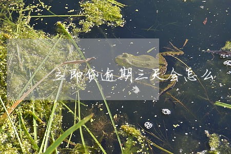 立即贷逾期三天会怎么 立即贷逾期三天会怎么