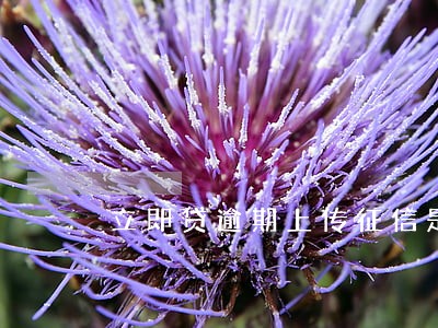 立即贷逾期上传征信是真的假的 立即贷逾期上传征信是真的假的