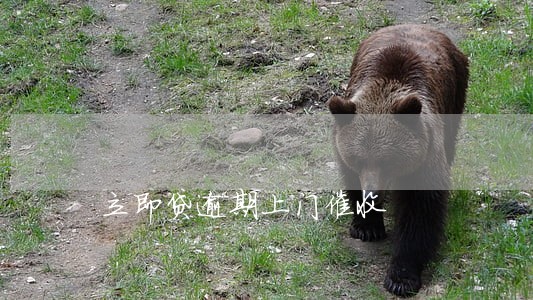 立即贷逾期上门催收 立即贷逾期上门催收