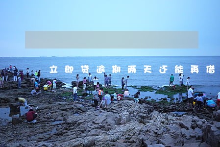 立即贷逾期两天还能再借吗