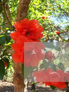 立即贷逾期了大半夜自己扣款 立即贷逾期了大半夜自己扣款