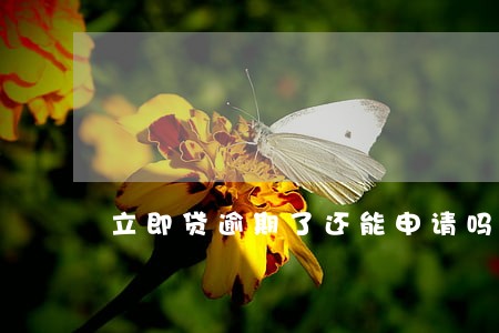 立即贷逾期了还能申请吗 立即贷逾期了还能申请吗
