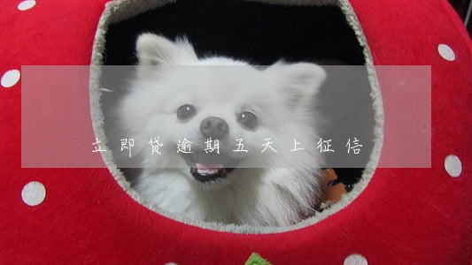 立即贷逾期五天上征信 立即贷逾期五天上征信