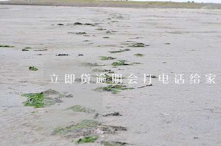 立即贷逾期会打电话给家人吗 立即贷逾期会打电话给家人吗