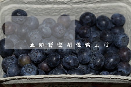 立即贷逾期催收上门 立即贷逾期催收上门