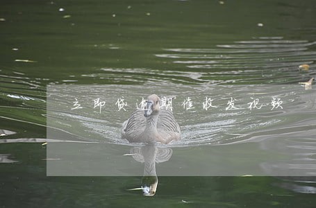 立即贷逾期催收发视频 立即贷逾期催收发视频
