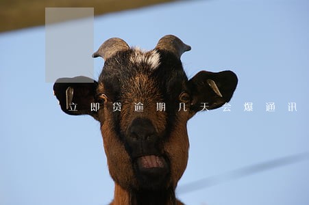 立即贷逾期几天会爆通讯录 立即贷逾期几天会爆通讯录
