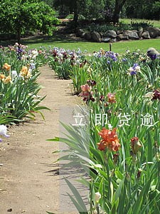 立即贷逾期几天催收 立即贷逾期几天催收
