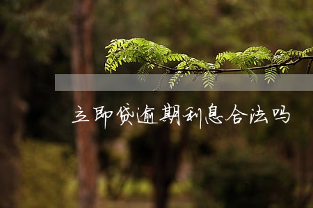 立即贷逾期利息合法吗 立即贷逾期利息合法吗