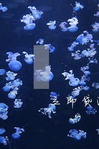 立即贷逾期半年
