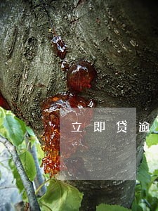 立即贷逾期后果严重吗 立即贷逾期后果严重吗