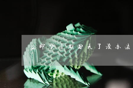 立即贷逾期四天了没办法还 立即贷逾期四天了没办法还