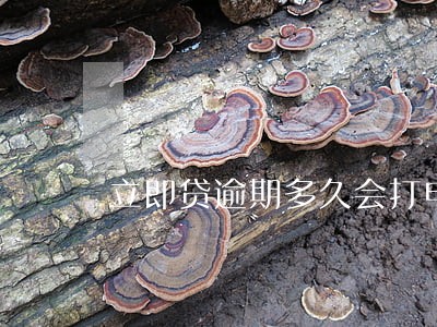 立即贷逾期多久会打电话 立即贷逾期多久会打电话