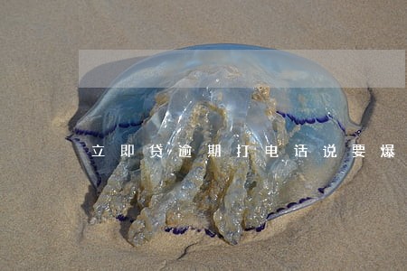 立即贷逾期打电话说要爆通讯录 立即贷逾期打电话说要爆通讯录