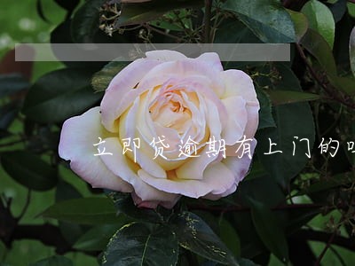 立即贷逾期有上门的吗 立即贷逾期有上门的吗