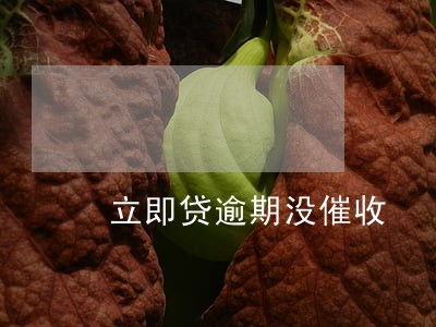 立即贷逾期没催收 立即贷逾期没催收
