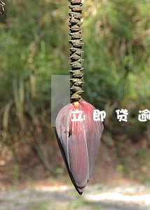 立即贷逾期爆通讯录合法吗 立即贷逾期爆通讯录合法吗