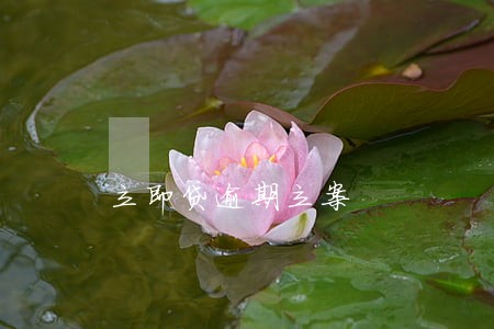 立即贷逾期立案 立即贷逾期立案