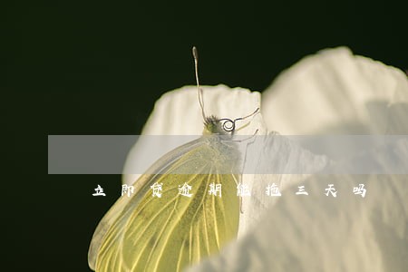 立即贷逾期能拖三天吗 立即贷逾期能拖三天吗